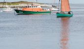 Randonnée Marche Île-Molène - Petit Tour de Molène - Photo 12