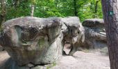 Tocht Stappen Fontainebleau - barbizon  - Photo 4
