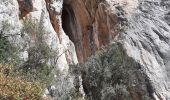 Excursión Senderismo Ollioules -  Les Grottes  St Martin  - Photo 16