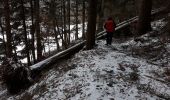 Trail Walking Saint-Amarin - 2020 02 12 Geishouse Hoehe_Chalet Edelweiss  - Photo 15