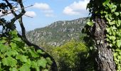 Trail Walking Signes - Aiguilles de Valbelle-01-10-21 - Photo 3