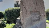 Tour Zu Fuß Wettin-Löbejün - Rundweg Nußgrund Tannengrund Rothenburg - Photo 6