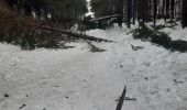 Percorso Marcia Waimes - tout petit tour dans 50 cm de neige fondante - Photo 1