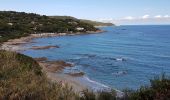 Excursión Senderismo Ramatuelle - PRESQU'ÎLE DE SAINT-TROPEZ - DE L'ESCALET AU CAP TAILLAT - Photo 15