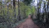 Randonnée Marche Aywaille - de Tlff à Sur le Tige -  autour du bois de Warnoumont - Photo 8