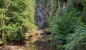 Trail Walking Vic-sur-Cère - Pas de Cère- cascade de Gourdole - Photo 15
