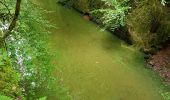 Randonnée Marche Champagney - Canal souterrain de la Haute-Saône - Photo 5