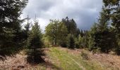 Percorso Marcia Spa - spa . bronrome . thier des rexhons . spa  - Photo 2