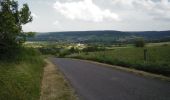 Percorso Mountainbike Virton - Montquintin et Villers-la-Loue - Balade_VTT_19Kms - Photo 18