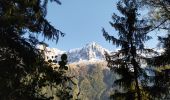 Excursión Senderismo Chamonix-Mont-Blanc - 20211014 Gailland par balcon sud - Photo 2