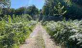 Randonnée Marche Rethondes - en Forêt de Laigue, 04_07_2025_sur les Routes du Grand Octogone, du Plessis-Brion, de Sainte-Croix, du Petit Octogone et de la Belle Assise - Photo 9