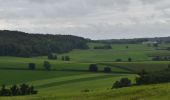 Tour Wandern Bleiberg - 20210827 - Sippenaeken 9.6 Km - Photo 18