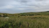 Excursión Senderismo Sangatte - Cap Blanc Nez  - Photo 13