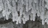 Randonnée Raquettes à neige Lans-en-Vercors - la moliere - Photo 3