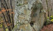 Tour Wandern Recloses - Mare Marcou ,Vallee jauberton - Photo 1