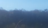 Trail Walking Chaudfontaine - petit tour dans le bois d Embourg - Photo 8
