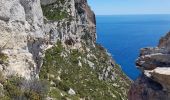 Tocht Stappen Cassis - les crêtes  de La Ciotat - Photo 4