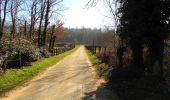 Percorso Marcia Pierrefonds - en forêt de Compiègne_24_Tournantes sur le Voliard et sur la Fortelle_chaussée Brunehaut - Photo 14