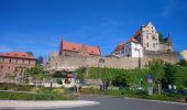 Tocht Te voet Alzenau - Kulturweg Alzenau 1 - Photo 10