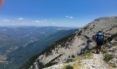 Tour Wandern Beaumont-du-Ventoux - crêtes de cachillan - Photo 1