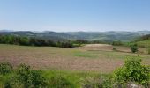 Tour Wandern Le Puy-en-Velay - Chemin de Stenvenson 1 - Photo 14