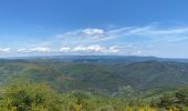 Excursión Senderismo Saint-André-de-Valborgne - Saint André de Valborgne  - Photo 1