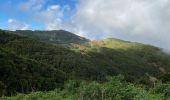 Tocht Stappen Valverde - Valverde - Garoé - Ventejis (El Hierro) - Photo 18