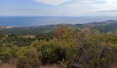 Tocht Stappen Argelès-sur-Mer - massane - Photo 12