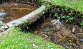 Randonnée A pied Hessisch Lichtenau - Rundweg Hausen-Seesteine - Photo 1