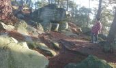 Trail Walking Fontainebleau - rocher d'Avon 13 janvier 2023  - Photo 9