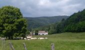 Trail Walking Sentheim - Baerenkopf  - Photo 9