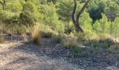 Tocht Stappen Beaurecueil - refuge Cézanne  - Photo 3