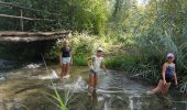 Trail Walking Rhinau - ile de rhinau2 - Photo 9