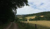 Trail On foot Rotenburg an der Fulda - Rotenburg-Cornberg - Photo 1