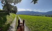 Trail Horseback riding Chainaz-les-Frasses - Lachat circuit court - Photo 11