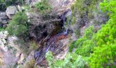 Percorso Marcia Bormes-les-Mimosas - SityTrail - 3043274 - bargeanxchartreuse-verne - Photo 18