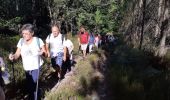 Tocht Stappen Sorges et Ligueux en Périgord - sorges ouest  - Photo 1