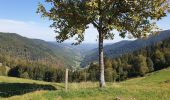 Randonnée Marche Sainte-Marie-aux-Mines - Crête granitique et forêts profondes - Photo 12