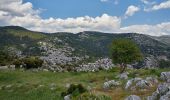 Trail On foot Municipal Unit of Fili - Κάστρο Φυλής - Ρέμα Θοδώρας - Φυλή - Photo 7