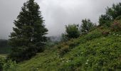 Tocht Stappen Arâches-la-Frasse - Les Carroz tête des Saix boucle - Photo 19