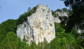 Tocht Te voet Gomadingen - Beuron - Petershöhle - Donau - Werenwag - Photo 5