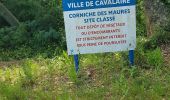 Trail Walking Cavalaire-sur-Mer - CAVALAIRE  - Photo 7