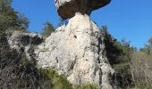 Randonnée Marche La Roque-Sainte-Marguerite - la roque Montpellier le vieux  la roque St m - Photo 1