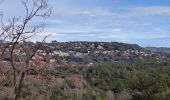 Excursión Bici de montaña Bagnols-en-Forêt - bagnols - Photo 2