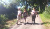 Trail Nordic walking Herve - Battice_Fort - Photo 9