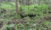 Trail On foot Altaussee - Sandling 241 - Photo 9