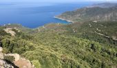 Trail Walking Pino - Randonnée Cap Corse  - Photo 4