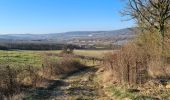 Trail Walking Champey-sur-Moselle - Champey La Frontière  - Photo 18