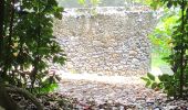 Tour Wandern Le Lorrain - La Crabière-Tapis Vert - Photo 1