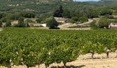 Trail Horseback riding Buoux - Provence 2025 J2 - Photo 6